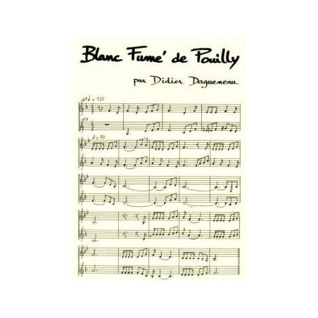 Blanc Fumé de Pouilly 2014 - Didier Dagueneau