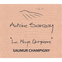Saumur Champigny 2016 "La Haye Dampierre" - Antoine Sanzay