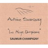 Saumur Champigny 2016 "La Haye Dampierre" - Antoine Sanzay Saumur Champigny 2016 "La Haye Dampierre" - Antoine Sanzay