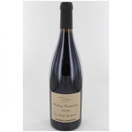 Saumur Champigny 2016 "La Haye Dampierre" - Antoine Sanzay Saumur Champigny 2016 "La Haye Dampierre" - Antoine Sanzay