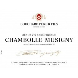 Chambolle Musigny 2015 -...