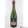 Bollinger R.D 2004