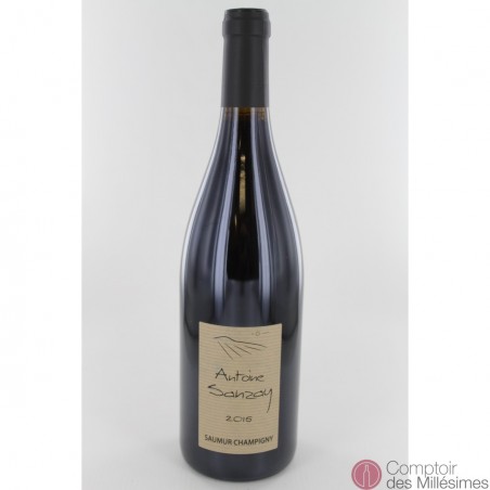 Saumur Champigny 2016 - Antoine Sanzay Saumur Champigny 2016 - Antoine Sanzay