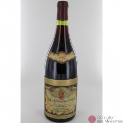Nuits St Georges 1er Cru 1987 Les Bousselots en Magnum - Philippe Gavignet