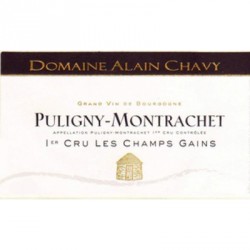 Puligny-Montrachet 1er Cru 2013 Les Champs Gains - Alain Chavy