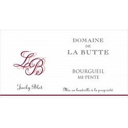 Bourgueil Mi-Pente - Domaine de la Butte - Jacky Blot