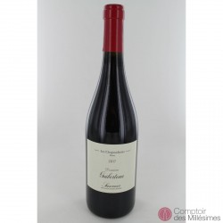 Saumur Rouge 2017 Les Chapaudaises - Guiberteau