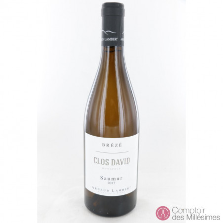 Saumur Blanc 2017 Brézé - Clos David Monopole - Arnaud Lambert