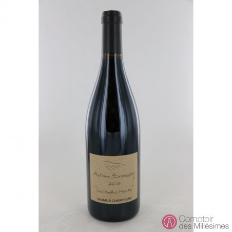 Saumur Champigny 2018 "Salles Martin" - Antoine Sanzay
