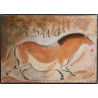 Thoroughbred Didier Dagueneau Thoroughbred Didier Dagueneau