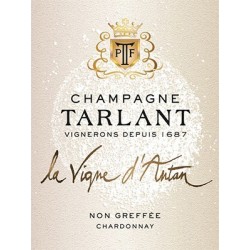 Champagne Tarlant