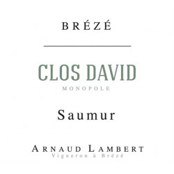 Saumur Blanc Brézé - Clos David Monopole - Arnaud Lambert