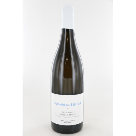 Muscadet 2019 - Domaine de Bellevue - Jérome Bretaudeau