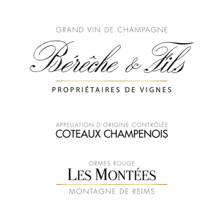 Les Montée Coteaux Champenois Rouge Bérêche et Fils