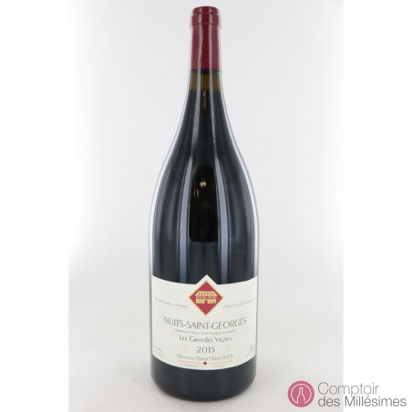 Nuits St Georges Les Grandes Vignes 2015 en Magnum - Daniel Rion