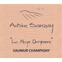 Saumur Champigny 2016 "La Haye Dampierre" - Antoine Sanzay Saumur Champigny 2016 "La Haye Dampierre" - Antoine Sanzay