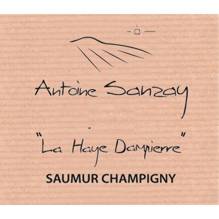 Saumur Champigny 2016 "La Haye Dampierre" - Antoine Sanzay