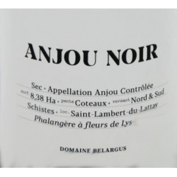 Anjou Noir 2019 - Domaine...