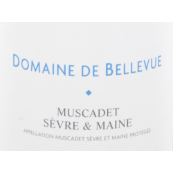 Muscadet 2020 - Domaine de...
