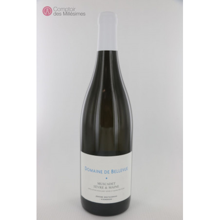 Muscadet 2020 - Domaine de Bellevue - Jérome Bretaudeau