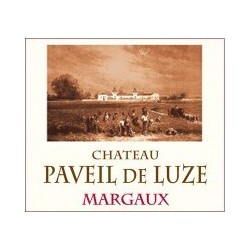 Chateau Paveil de Luze 1995