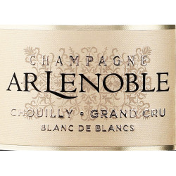 Champagne Blanc de Blancs...