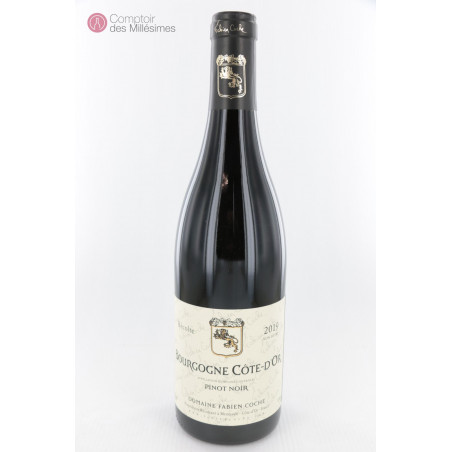 Bourgogne Pinot Noir 2019 Côte d'Or - Fabien Coche