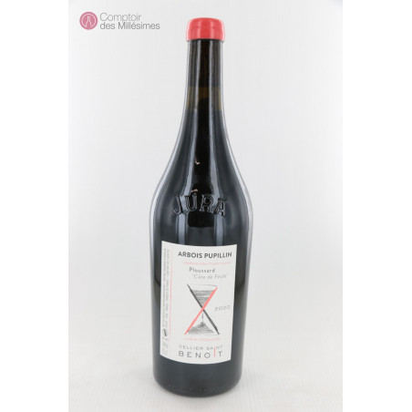 Ploussard Côte de Feulle 2020 - Cellier Saint Benoit