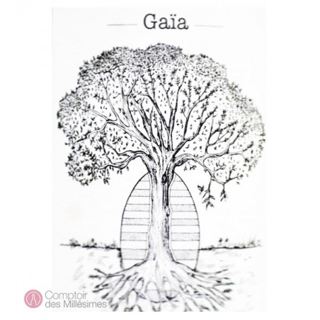Muscadet Gaïa   Jérome Bretaudeau