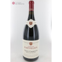 Gevrey Chambertin 2019 Vieilles Vignes en Magnum - Faiveley Gevrey Chambertin 2019 Vieilles Vignes en Magnum - Faiveley