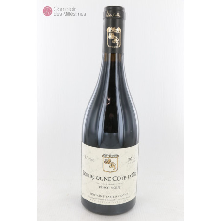 Bourgogne rouge  2020 Côte d'Or - Fabien Coche