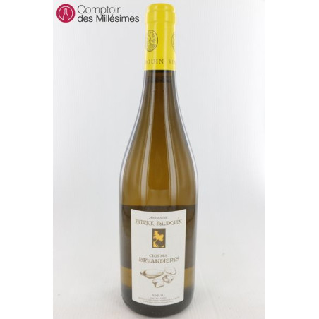 Anjou Clos des Bruandières 2019 - Patrick Baudouin