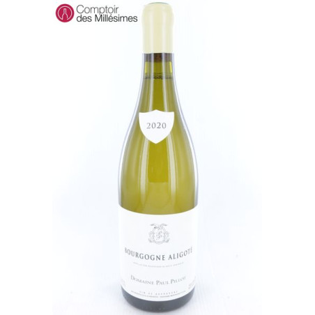 Bourgogne Aligoté 2020 - Paul Pillot