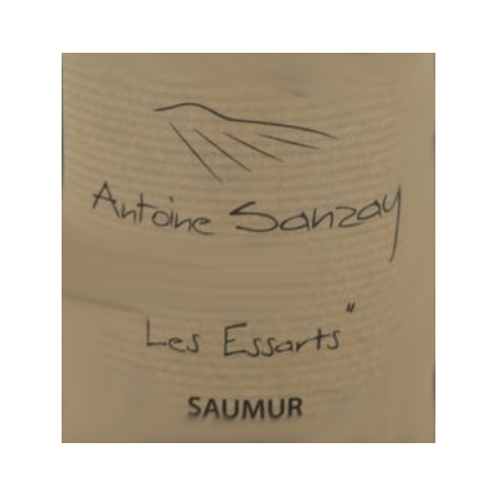 Saumur Champigny 2020 Les...