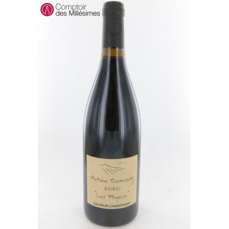 Saumur Champigny Les Poyeux 2020 - Antoine Sanzay
