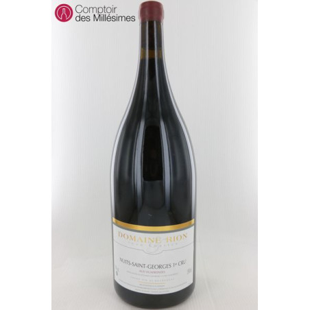 Nuits St Georges 1er Cru Aux Vignerondes 2008 en Magnum - Daniel Rion