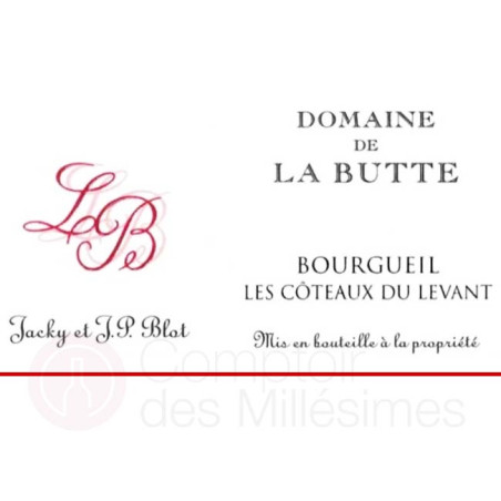 Bourgueil Les Coteaux du...