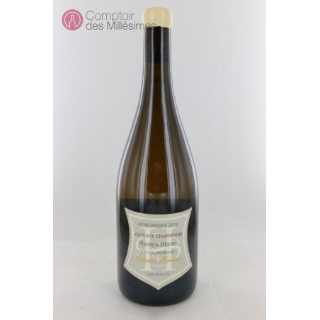 Coteaux Champenois Riceys Blanc 2019 - Olivier Horiot