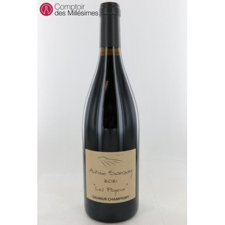 Saumur Champigny Les Poyeux 2021 - Antoine Sanzay