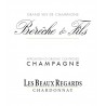 Champagne Les Beaux Regards 1er cru 2019 - Bérêche et Fils - 112,00 €