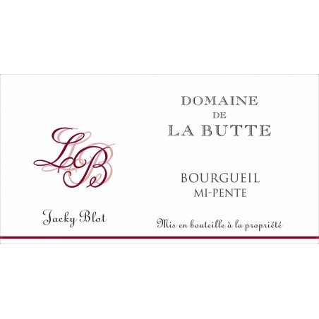 Bourgueil Mi-Pente - Domaine de la Butte - Jacky Blot