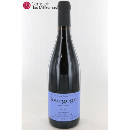 Bourgogne Rouge 2022 - Sylvain Pataille