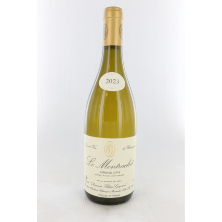Le Montrachet grand cru 2023 - Blain Gagnard