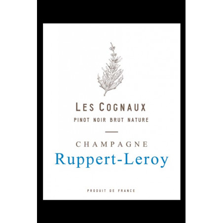 Les Cognaux 2022 - Pinot...