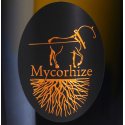 Mycorhize - Champagne De Sousa