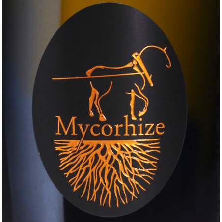 Mycorhize - Champagne De Sousa