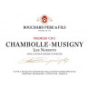 Chambolle Musigny 1er Cru Les Noirots 2017 - Bouchard Père et Fils - 69,00 €