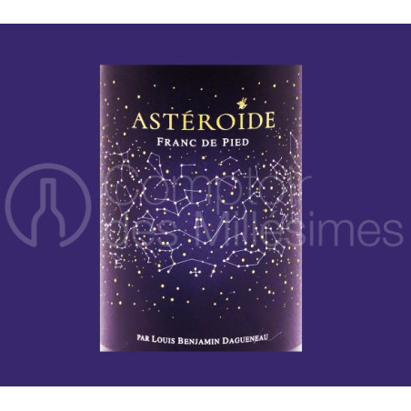 Astéroïde 2020 - Didier Dagueneau