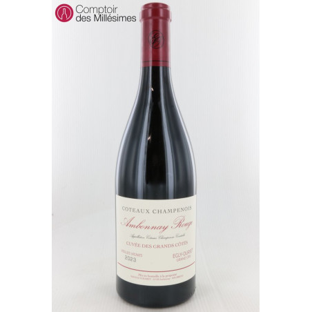 Coteaux Champenois Ambonnay rouge Grand Cru 2023 - Egly-Ouriet