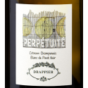 Coteaux Champenois Perpétuité – Drappier